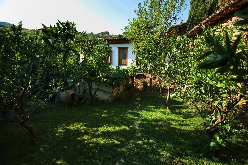 Terrace Houses Sirince Сельчук Экстерьер фото