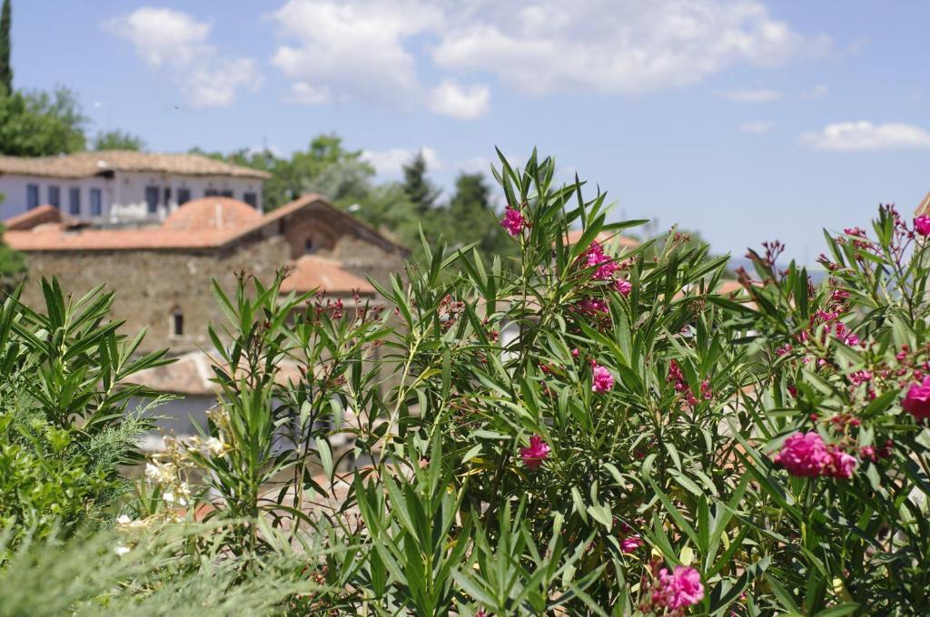Terrace Houses Sirince Сельчук Номер фото